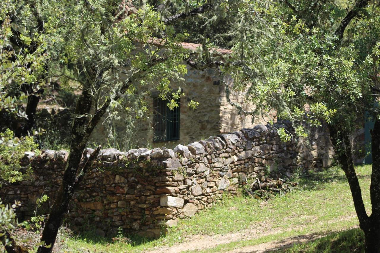 Nature Space Chalet Jabugo